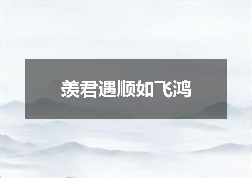 羡君遇顺如飞鸿