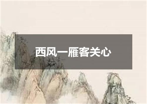 西风一雁客关心