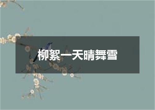 柳絮一天晴舞雪