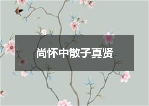 尚怀中散子真贤