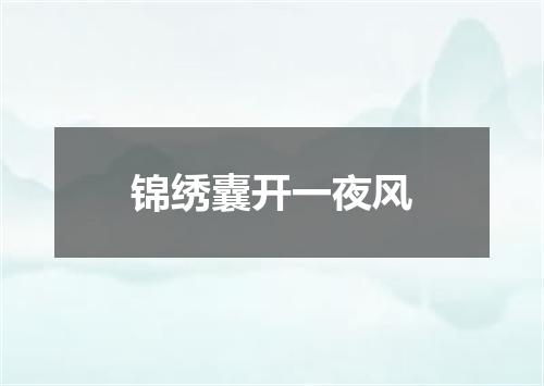 锦绣囊开一夜风