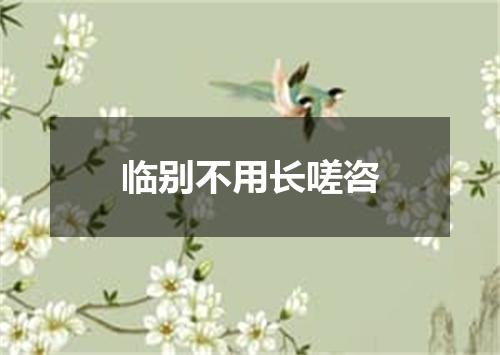 临别不用长嗟咨