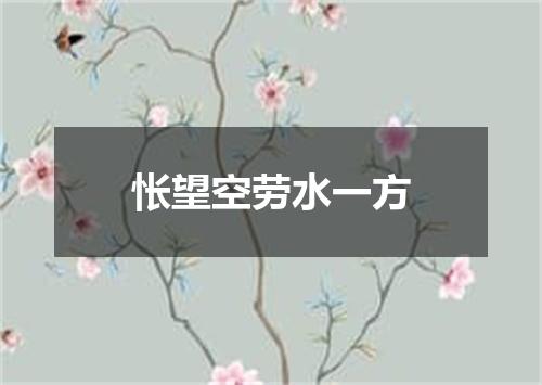 怅望空劳水一方