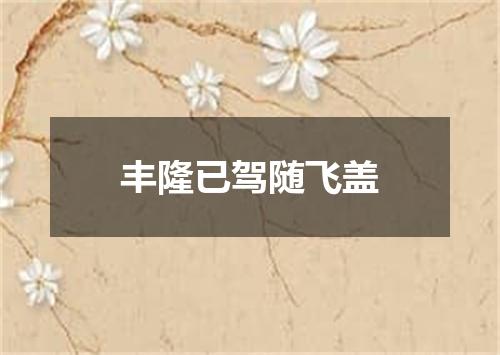 丰隆已驾随飞盖