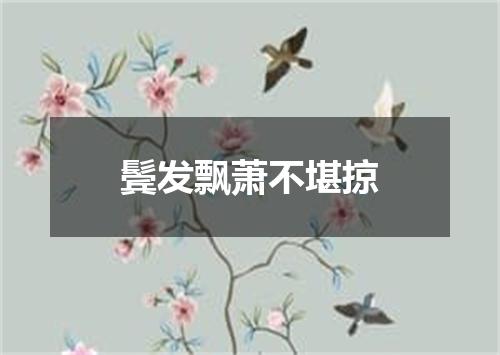 鬓发飘萧不堪掠
