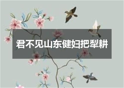 君不见山东健妇把犁耕