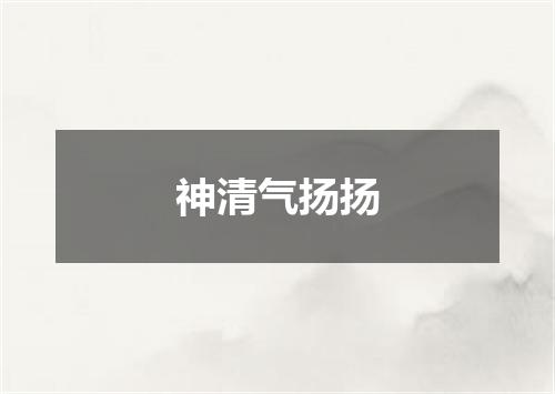 神清气扬扬
