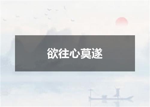 欲往心莫遂