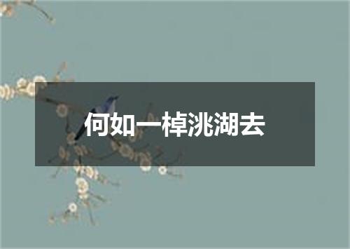 何如一棹洮湖去