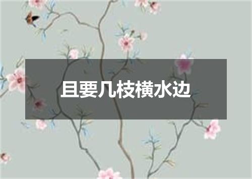 且要几枝横水边