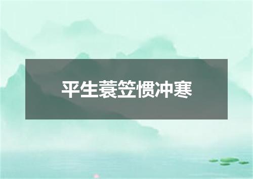 平生蓑笠惯冲寒