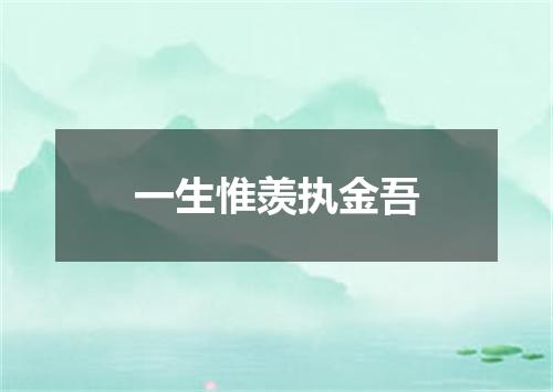 一生惟羡执金吾