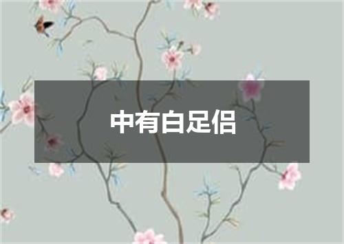 中有白足侣