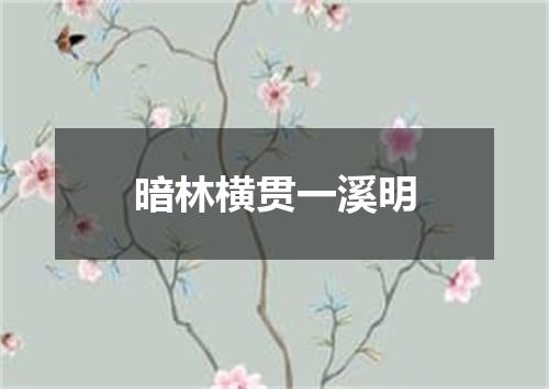 暗林横贯一溪明