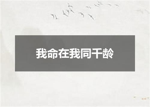 我命在我同千龄