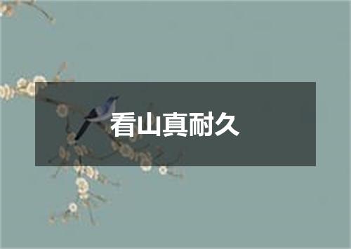 看山真耐久