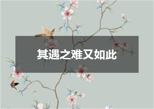 其遇之难又如此
