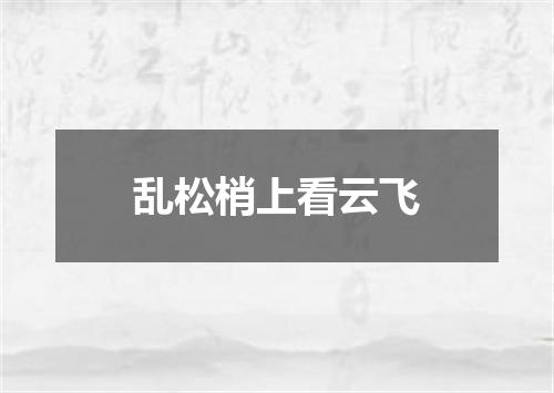 乱松梢上看云飞