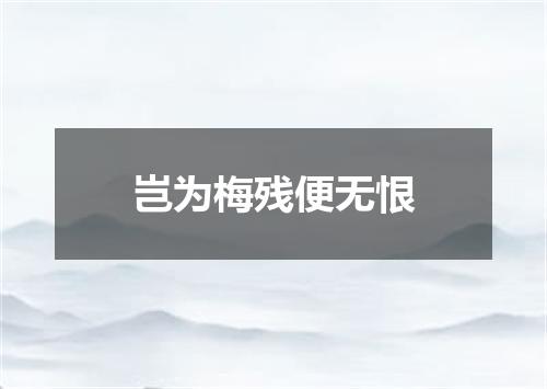 岂为梅残便无恨