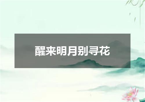 醒来明月别寻花