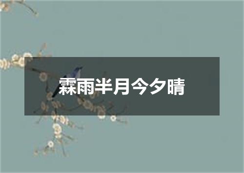 霖雨半月今夕晴