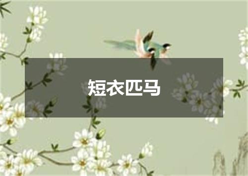短衣匹马