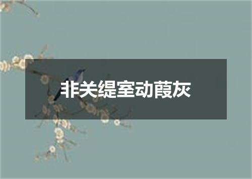非关缇室动葭灰