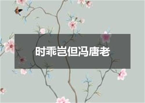 时乖岂但冯唐老