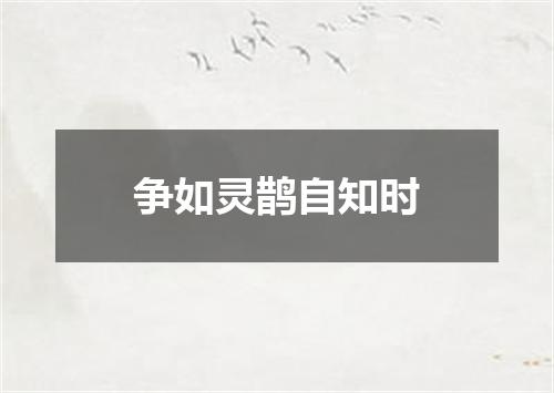 争如灵鹊自知时