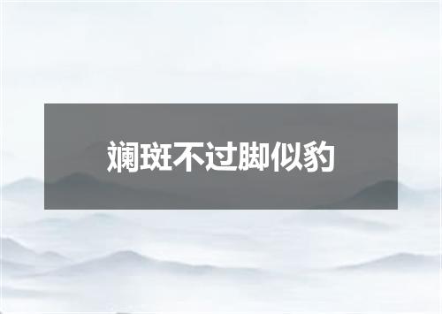 斓斑不过脚似豹