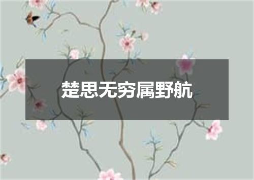 楚思无穷属野航