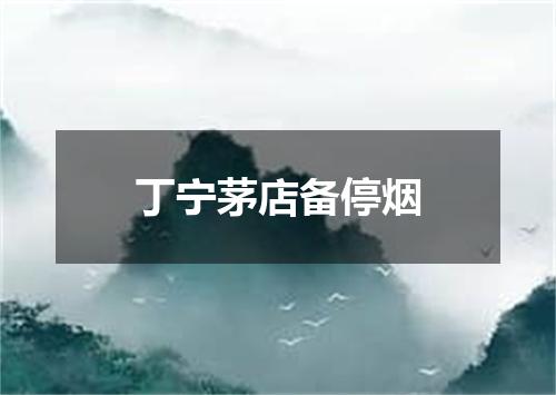 丁宁茅店备停烟