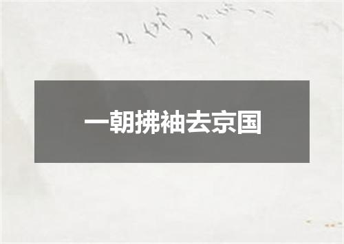 一朝拂袖去京国