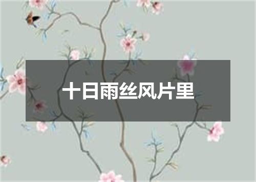 十日雨丝风片里