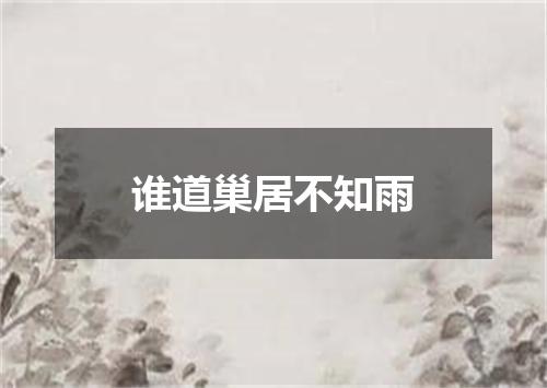 谁道巢居不知雨