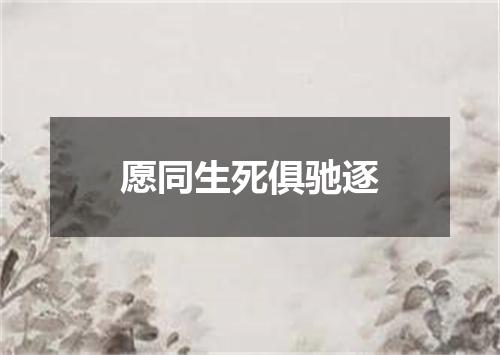 愿同生死俱驰逐