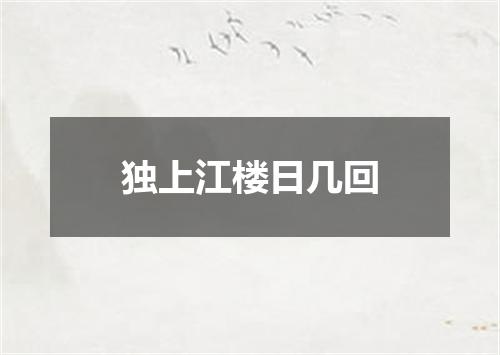 独上江楼日几回