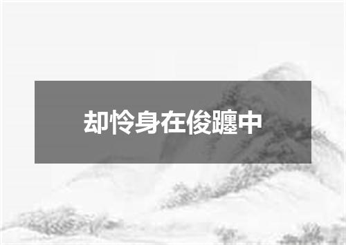 却怜身在俊躔中