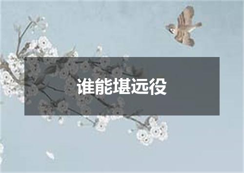 谁能堪远役