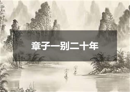 章子一别二十年