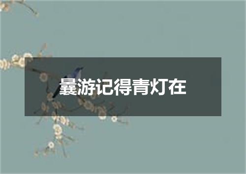 曩游记得青灯在