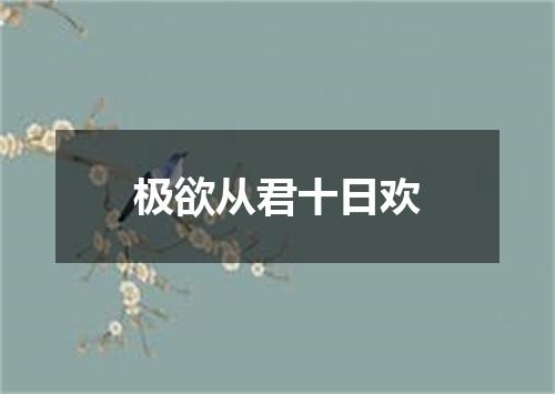 极欲从君十日欢