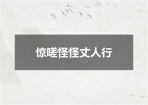 惊嗟怪怪丈人行