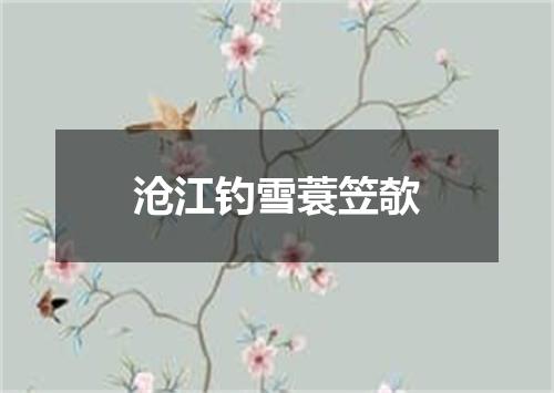 沧江钓雪蓑笠欹