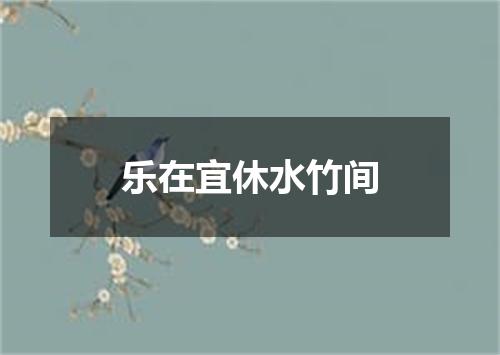 乐在宜休水竹间