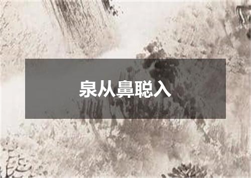 泉从鼻聪入