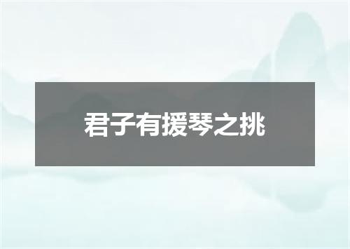 君子有援琴之挑