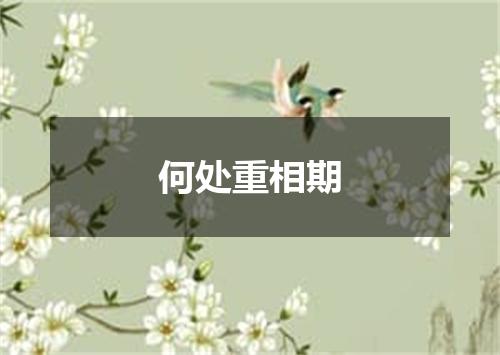 何处重相期