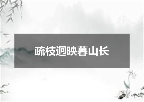疏枝迥映暮山长