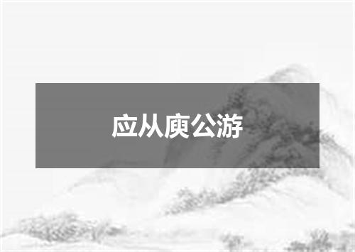 应从庾公游
